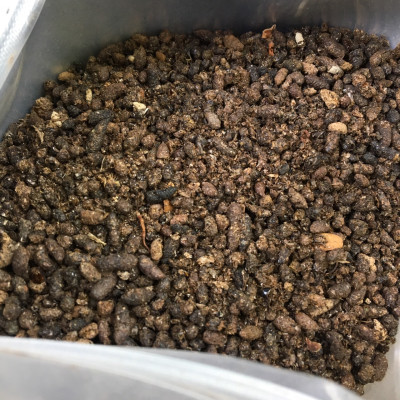 Phân Dơi Nguyên Chất Khô Ráo 1kg – Giúp Cây Ra Hoa Đậu Trái Tốt, Tơi Đất, Tăng Đạm Tự Nhiên