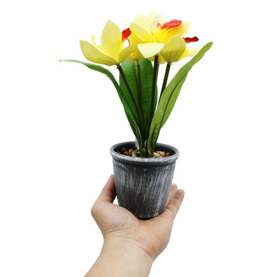 Chậu Cây Hoa Nhựa Trang Trí - WanLongDa 769-10