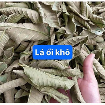 Lá ổi khô  - Sản phẩm hữ cơ tự nhiên gói 1kg