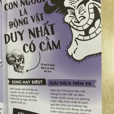 COMBO ĐÚNG HAY ĐIÊU (10 QUYỂN)