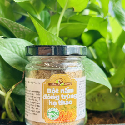 Bột Nấm Đông Trùng Hạ Thảo Khô Lý Tưởng 40g, Nấm Đông Trùng Hạ Thảo Dạng Bột Tiện Lợi, Dễ Hấp Thụ