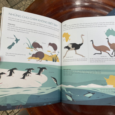 Combo 3 cuốn TUNG CÁNH TRONG KHÔNG TRUNG (Cất cánh cùng côn trùng - Bay lượn với chim muông - Con người chinh phục bầu trời) - Beauty of Science – Keng dịch - NXB Kim Đồng (bìa mềm - in màu toàn bộ)