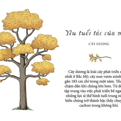 Sống Như Những Cái Cây - Những Bài Học Nhỏ Để Có Nguồn Hạnh Phúc Bất Tận (Tái Bản 2021)