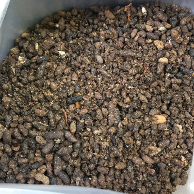 Phân Dơi Nguyên Chất Khô Ráo 1kg – Giúp Cây Ra Hoa Đậu Trái Tốt, Tơi Đất, Tăng Đạm Tự Nhiên