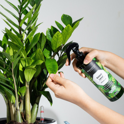 Phân bón hữu cơ BÓNG LÁ MONROVIA pha sẵn giúp lá cây khỏe mạnh, xanh bóng, dành cho cây trồng dung tích 500ml