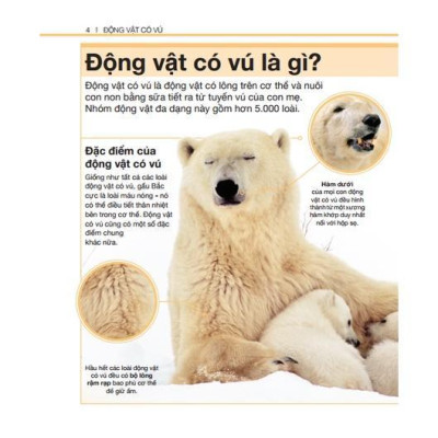 Sách - Bách Khoa Thiếu Nhi - Ai Cập Cổ Đại + Bách Khoa Thiếu Nhi Động Vật Có Vú - Combo 2 Cuốn Bìa Cứng - Minh Thắng