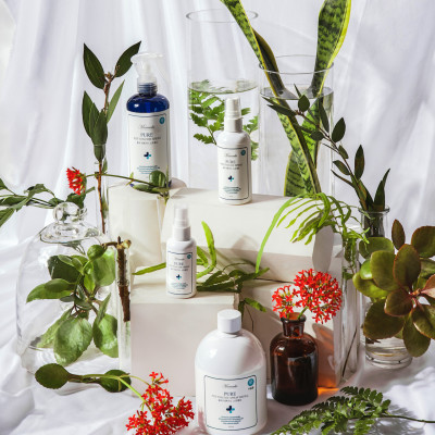 Nước Phytoncide nguyên chất thanh lọc & làm sạch không khí, đồ dùng (Pure Phytoncide)