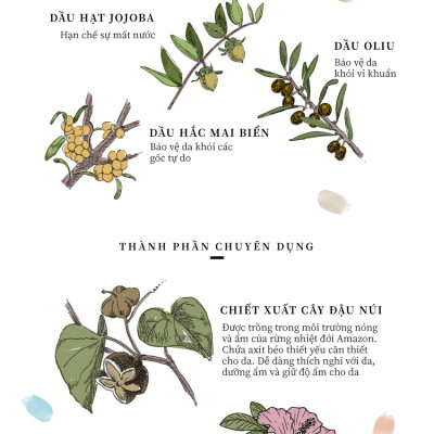 Make Up Cream On The Go (30 gói Shachet) - Kem nền hữu cơ đa năng naturaglacé Make Up Cream (02 - Màu be tự nhiên)