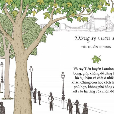 Sống Như Những Cái Cây - Những Bài Học Nhỏ Để Có Nguồn Hạnh Phúc Bất Tận (Tái Bản 2021)