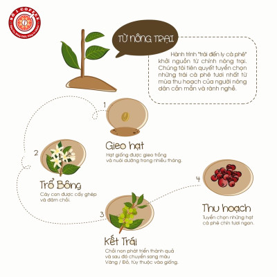 [SỐ 1 COFFEE] Cà Phê Pha Máy - Cà Phê Nguyên Chất GU ĐẬM Rang Mộc Pha Phin, Sạch 100% Thượng Hạng, Vị Đậm Đà, Đắng Đặc Trưng - Túi 500Gam