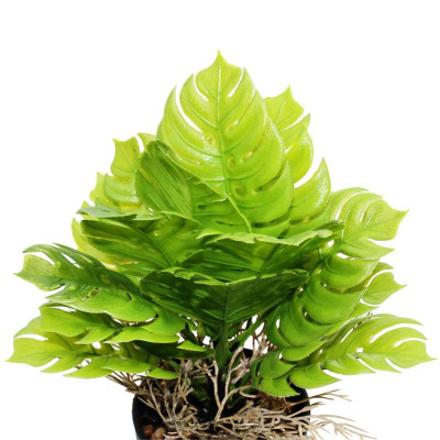 Chậu Cây Nhựa Trang Trí - WanLongDa 769-7