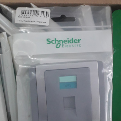 Ổ điện thoại/internet E3031RJK GS  Bạc Schneider | Chính hãng |