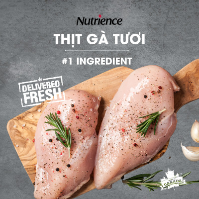 Thức Ăn Cho Chó Nhỏ Nutrience Infusion Bao 1kg - Thịt Gà, Rau Củ Và Trái Cây Tự Nhiên