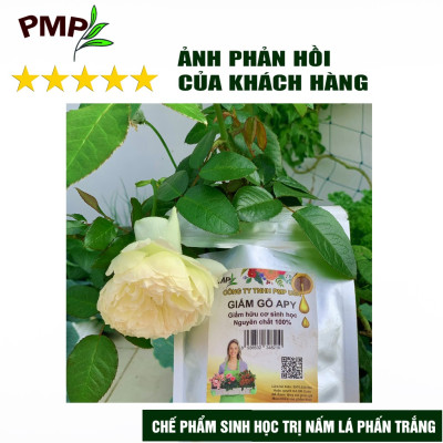 Giấm Gỗ Sinh Học APY PMP Kháng Đốm Lá, Đốm Đen, Vàng Lá, Phấn Trắng Cho Hoa Hồng, Rau Sạch, Lan, Cây Cảnh Chai 500ml