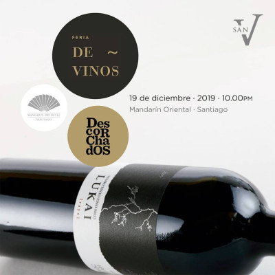 Rượu vang đỏ Chile San Vicente Lukai Cabernet Sauvignon 750ml 14% nhập khẩu - Hàng chính hãng