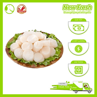 [GIAO NHANH HCM] Cồi Sò Điệp Việt Nam - Túi 500Gr (40-60 Con)