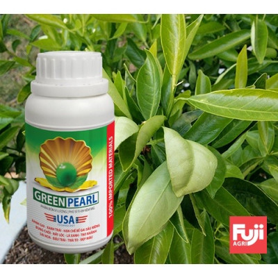 Phân bón Kẽm Mg Green Pearl 250ml USA