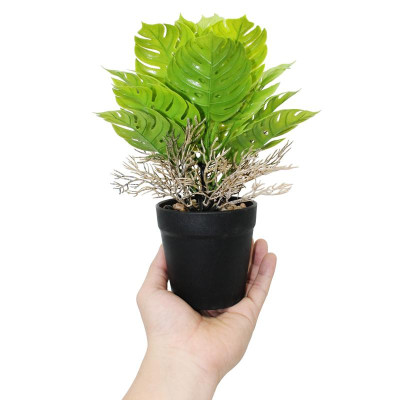 Chậu Cây Nhựa Trang Trí - WanLongDa 769-7