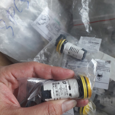 Đèn XB7EV05BP Schneider, 22mm, Đèn Vàng 24V | Chính hãng |