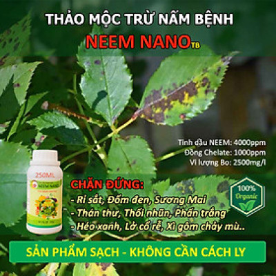 VƯỜN SINH THÁI - Thuốc trừ nấm bệnh sinh học neem nano - Sạch thán thư, rỉ sắt, thối nhũn, đốm đen, héo xanh, phấn trắng - Chiết xuất 100% Thiên Nhiên
