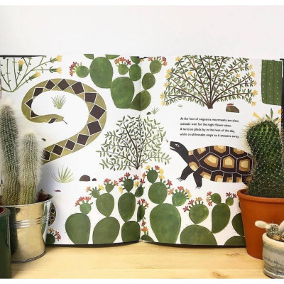 Sách The Night Flower - Sự nở hoa của cây xương rồng Saguaro