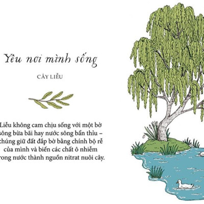 Sống Như Những Cái Cây - Những Bài Học Nhỏ Để Có Nguồn Hạnh Phúc Bất Tận (Tái Bản 2021)