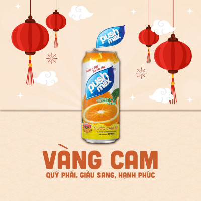 Thùng 24 Lon Nước Trái Cây Cam Ép Pushmax (320ml x 24 Lon)