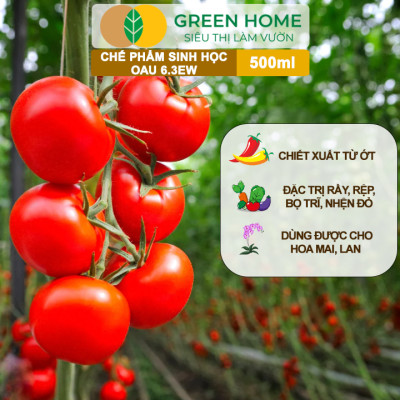 Chế Phẩm Sinh Học OAU 6.3EW GreenHome, Chai 500Ml, Thảo Mộc, Đặc Trị Rệp, Rầy, Bọ Trĩ Cho Cây Và Hoa
