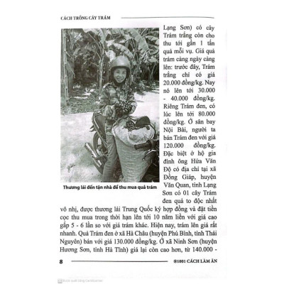 Sách - Cách Trồng Cây Trám - NXB Nông Nghiệp