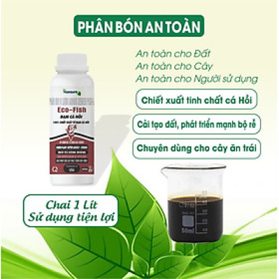 Ecofish Đạm cá thủy phân, chuyên dùng cho cây ăn trái phát triển bộ RỄ. Chai 1 Lít