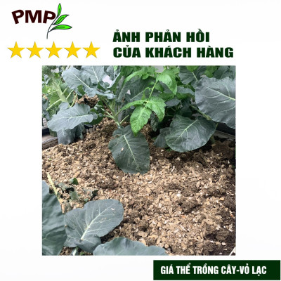 Combo 1 túi giá thể bã mía 500g & 1 túi vỏ lạc 1Kg dập nhỏ PMP để trộn đất, phủ bề mặt trồng cây