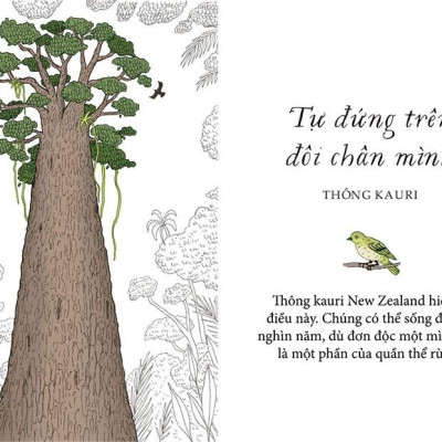 Sống Như Những Cái Cây - Những Bài Học Nhỏ Để Có Nguồn Hạnh Phúc Bất Tận (Tái Bản 2021)