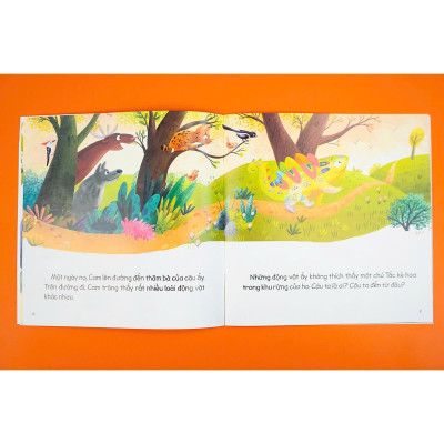 Sách - Cầu Vồng Cảm Xúc 4 Tập - Đinh Tị Books