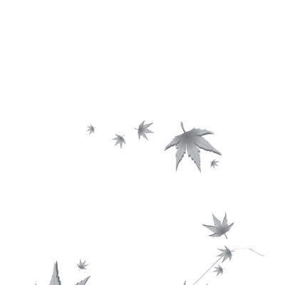 Nắng Xuyên Qua Vòm Lá