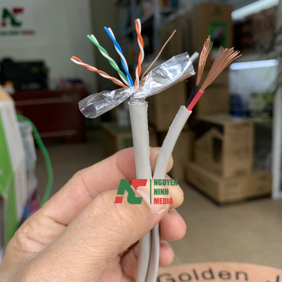 Dây Cáp Mạng Kèm Nguồn Cat5e FTP + 2C Golden Japan Bọc Bạc Chống Nhiễu - Hàng Chính Hãng (Bán Lẻ Mét)