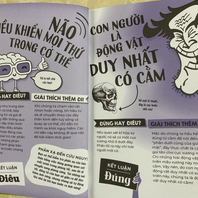 COMBO ĐÚNG HAY ĐIÊU (10 QUYỂN)