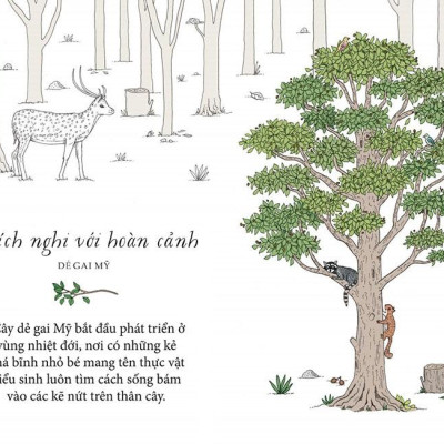 Sống Như Những Cái Cây - Những Bài Học Nhỏ Để Có Nguồn Hạnh Phúc Bất Tận (Tái Bản 2021)