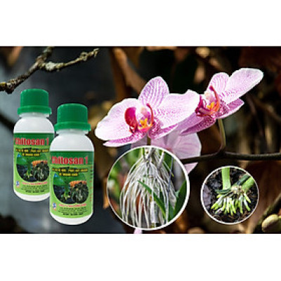 Combo 2 chai Phân bón lá sinh học Chitosan1