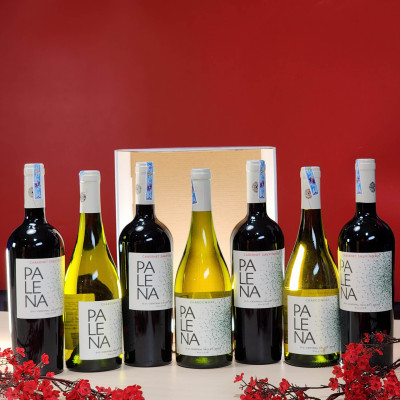 Vang Trắng Chile PALENA CHARDONNAY