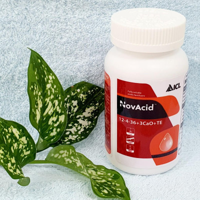 Phân Bón Hoà Tan Israel NovAcid 19-19-19+3CaO+Te là Phân Bón Lá hòa tan 100% trong nước dùng qua hệ thống tưới nhỏ giọt hay tưới phun sương cho hoa và cây