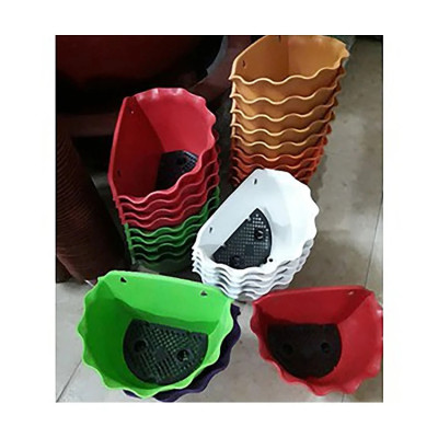 10 Chậu Ốp Tường Bán Nguyệt Trồng Hoa