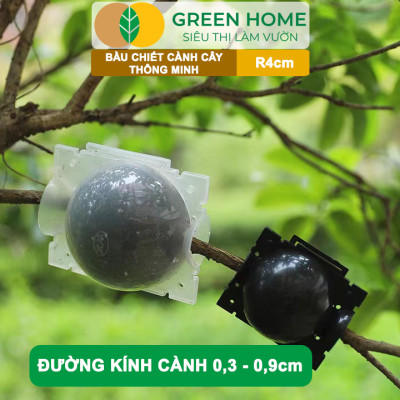 Bầu Chiết Cành GreenHome, R4cm(1 Thùng 200 CÁI), Tăng Khả Năng Ra Rễ, Phù Hợp Với Hoa Hồng, Bonsai