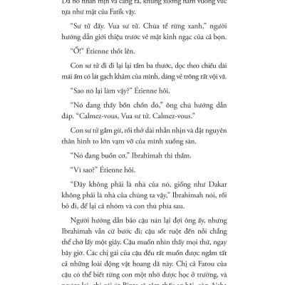 Sách - Talibé - Những Đứa Trẻ Đường Phố