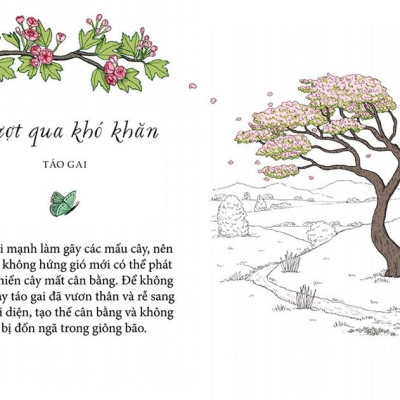 Sống Như Những Cái Cây - Những Bài Học Nhỏ Để Có Nguồn Hạnh Phúc Bất Tận (Tái Bản 2021)