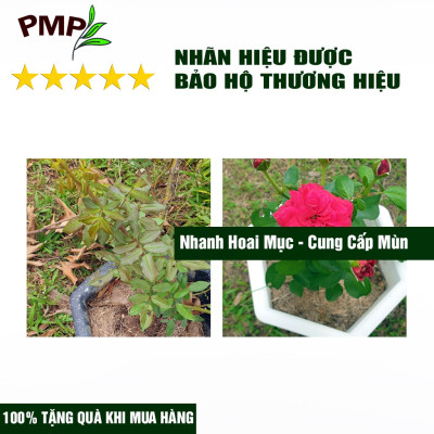 Combo 1 túi giá thể bã mía 500g & 1 túi vỏ lạc 1Kg dập nhỏ PMP để trộn đất, phủ bề mặt trồng cây