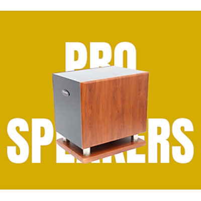 Loa Sub Hơi Zenbos JS-300 Bass 30cm(Hàng Chính Hãng)