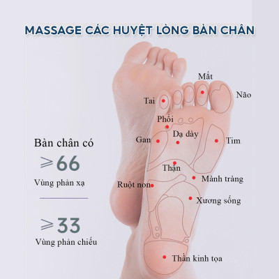Khung nắn chỉnh cột sống lưng Ema loại cao cấp chịu tải 100kg - Giúp giảm đau mỏi, thư giãn cột sống vùng thắt lưng