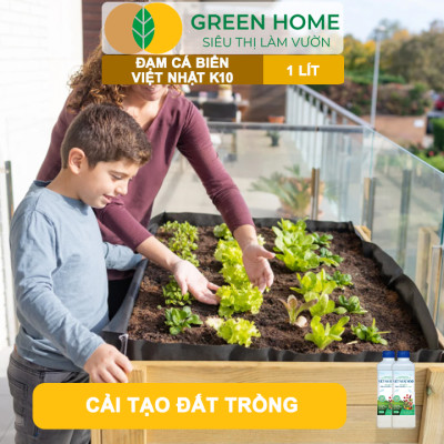 Phân Đạm Cá Hữu Cơ Sinh Học GreenHome, Dịch Cá Biển Thủy Phân K10, Chai 1Lít, Hàm Lượng Dinh Dưỡng Cao, Thế Hệ Mới, Công Nghệ Nhật Bản