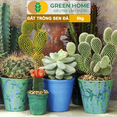 Đất Trồng Sen Đá Greenhome, Soil Mix, Bao 6kg, Trộn Sẵn, 85% Đá Khoáng, Phát Rễ Nhanh, Lên Màu Nhanh, Thoát Nước Tốt