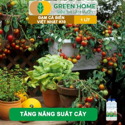 Phân Đạm Cá Hữu Cơ Sinh Học GreenHome, Dịch Cá Biển Thủy Phân K10, Chai 1Lít, Hàm Lượng Dinh Dưỡng Cao, Thế Hệ Mới, Công Nghệ Nhật Bản